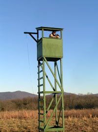 Observation Tower at Cumberland Mountain Farm